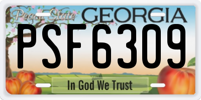 GA license plate PSF6309