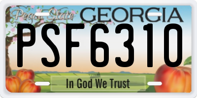 GA license plate PSF6310