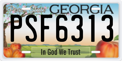 GA license plate PSF6313