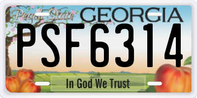 GA license plate PSF6314