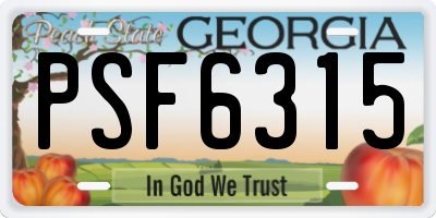 GA license plate PSF6315