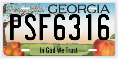 GA license plate PSF6316
