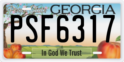 GA license plate PSF6317