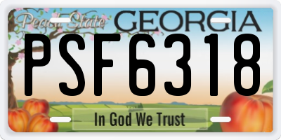GA license plate PSF6318