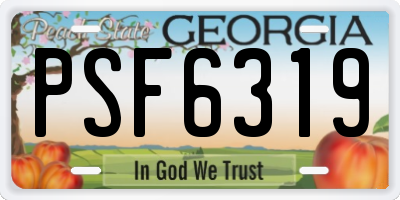 GA license plate PSF6319