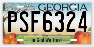 GA license plate PSF6324
