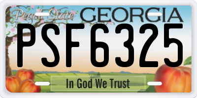 GA license plate PSF6325