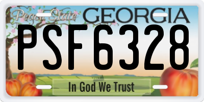 GA license plate PSF6328