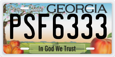 GA license plate PSF6333