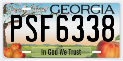 GA license plate PSF6338