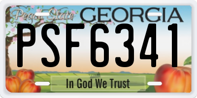 GA license plate PSF6341