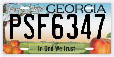 GA license plate PSF6347