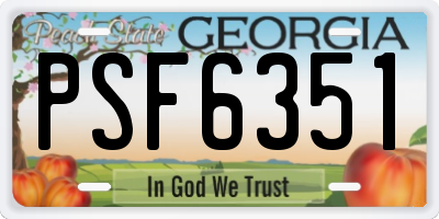 GA license plate PSF6351