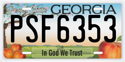 GA license plate PSF6353