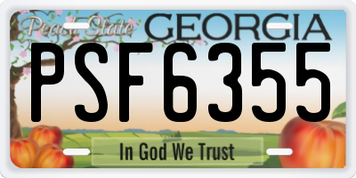 GA license plate PSF6355