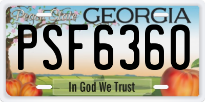 GA license plate PSF6360