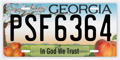 GA license plate PSF6364