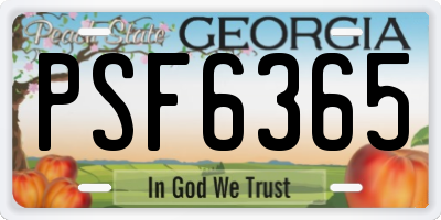GA license plate PSF6365