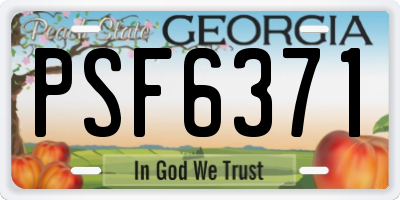 GA license plate PSF6371