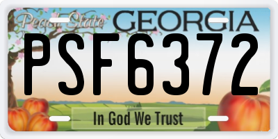 GA license plate PSF6372