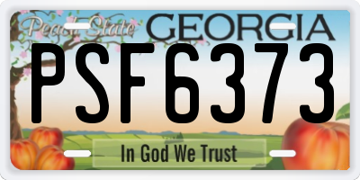 GA license plate PSF6373
