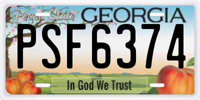 GA license plate PSF6374