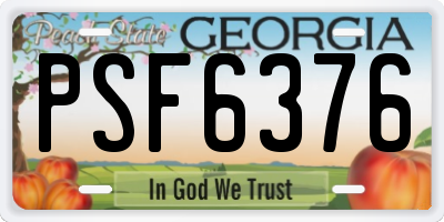 GA license plate PSF6376