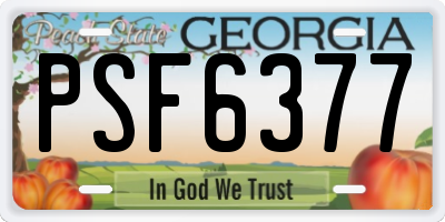 GA license plate PSF6377