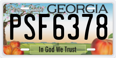 GA license plate PSF6378