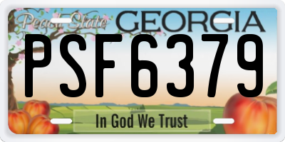 GA license plate PSF6379