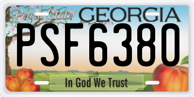 GA license plate PSF6380