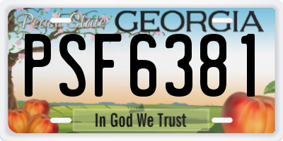 GA license plate PSF6381