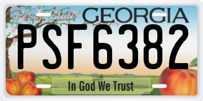GA license plate PSF6382
