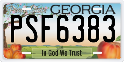 GA license plate PSF6383