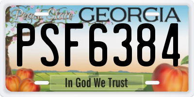 GA license plate PSF6384