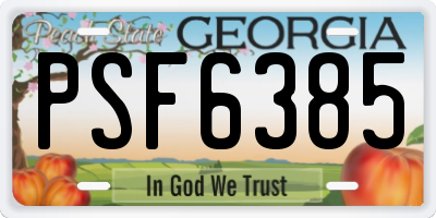 GA license plate PSF6385