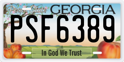 GA license plate PSF6389