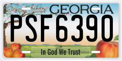 GA license plate PSF6390