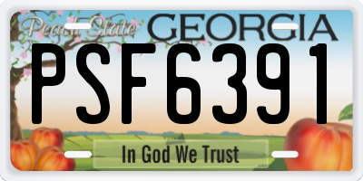 GA license plate PSF6391
