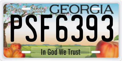 GA license plate PSF6393