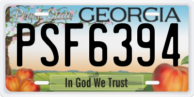GA license plate PSF6394
