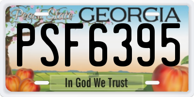 GA license plate PSF6395
