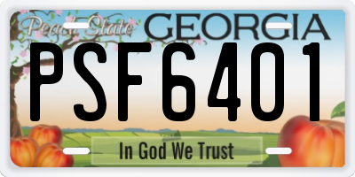 GA license plate PSF6401