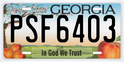 GA license plate PSF6403