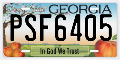 GA license plate PSF6405