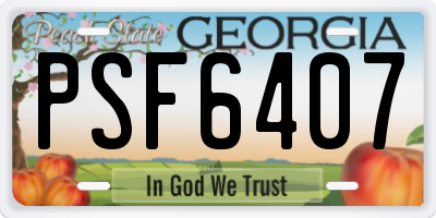 GA license plate PSF6407