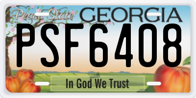 GA license plate PSF6408