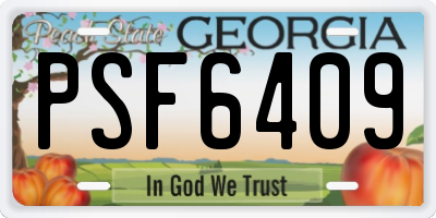 GA license plate PSF6409
