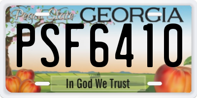 GA license plate PSF6410