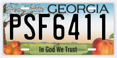 GA license plate PSF6411